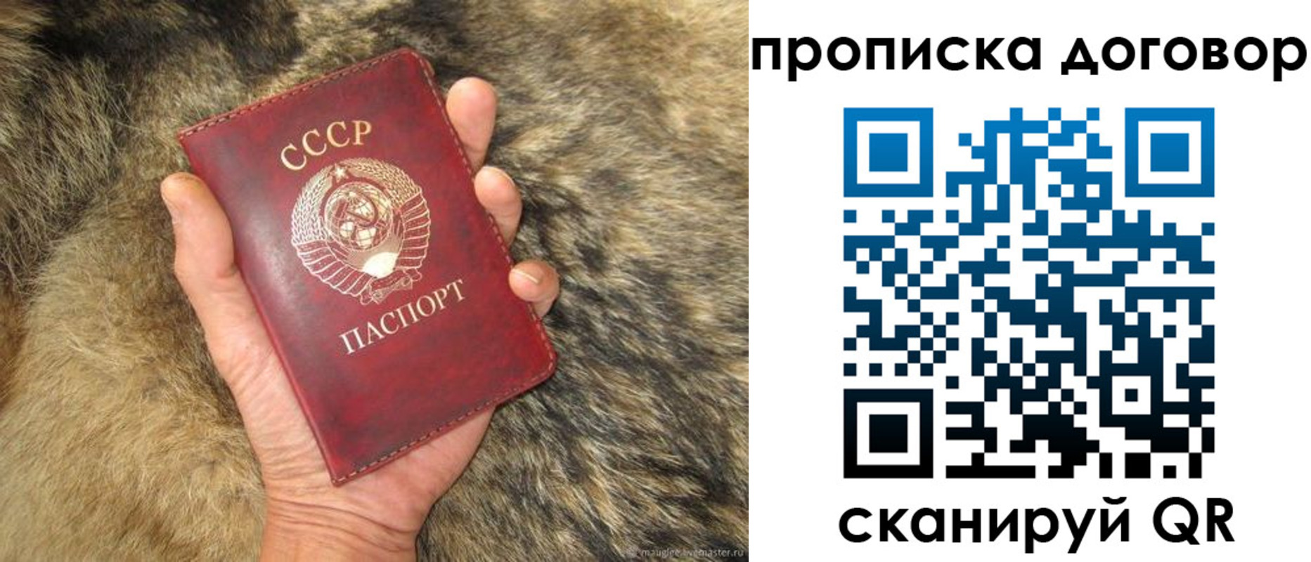 прописка регистрация в Бокситогорске
